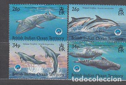 Sellos: Oceano Indico - Correo Yvert 211/4 ** Mnh Fauna marina