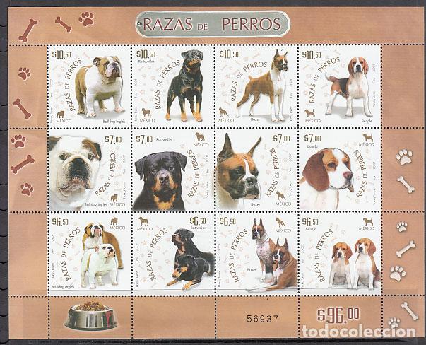 Briefmarken: Mexico Correo 2007 Yvert 2341/52 ** Mnh Fauna. Perros