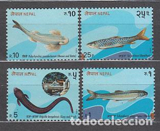 Briefmarken: Nepal - Correo Yvert 509/12 ** Mnh Fauna peces