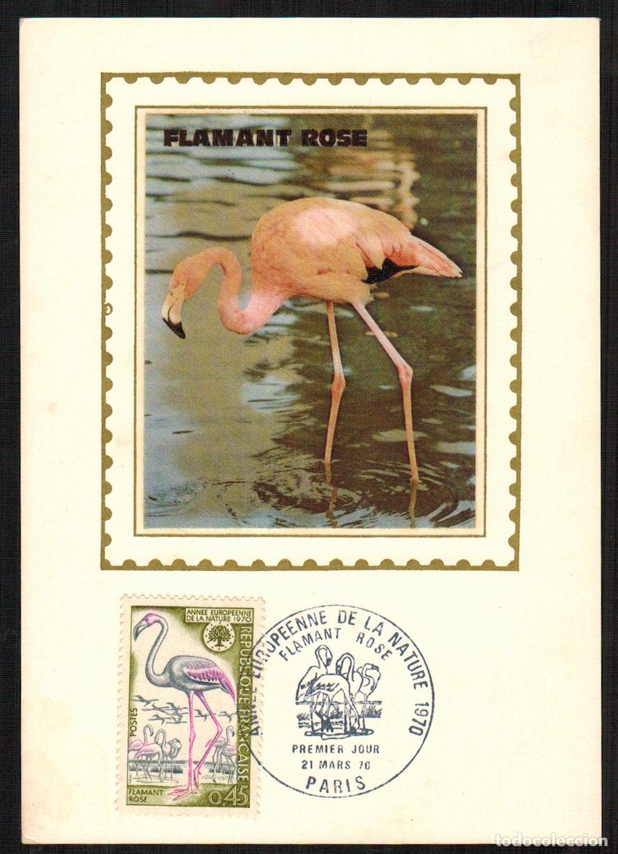Francobolli: Francia - Carta Postal - Yvert 1634 seda - Fauna Aves Paris 1970