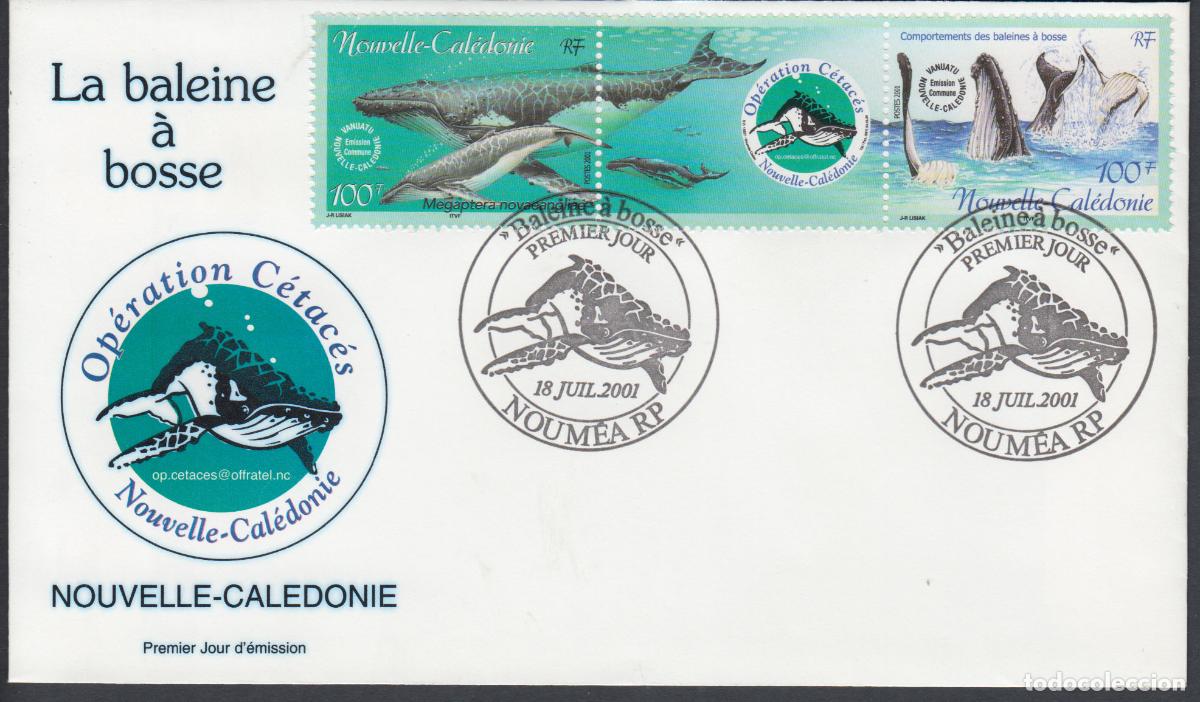 Sellos: Nueva Caledonia SPD FDC Yvert 844/45 - 2001 Matasello Fauna Marina