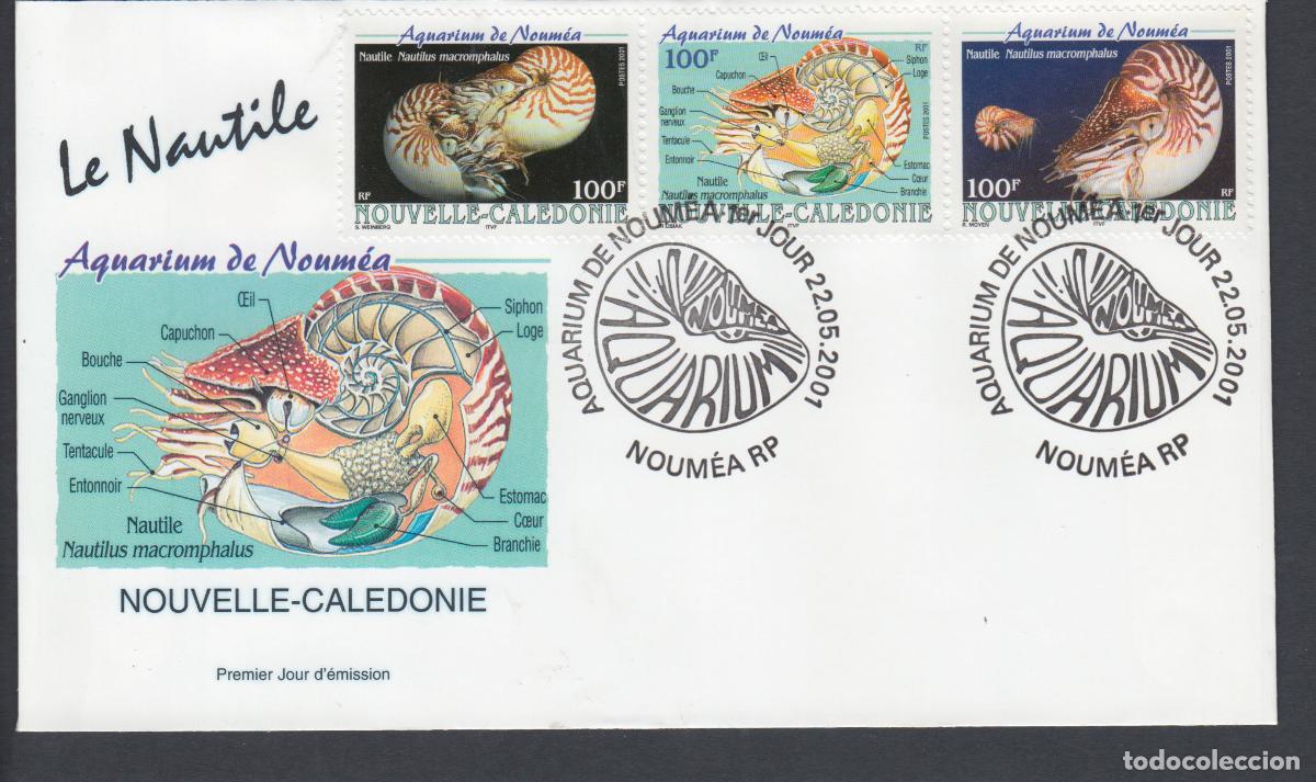Sellos: Nueva Caledonia SPD FDC Yvert 840/42 - 2001 Matasello Fauna Marina