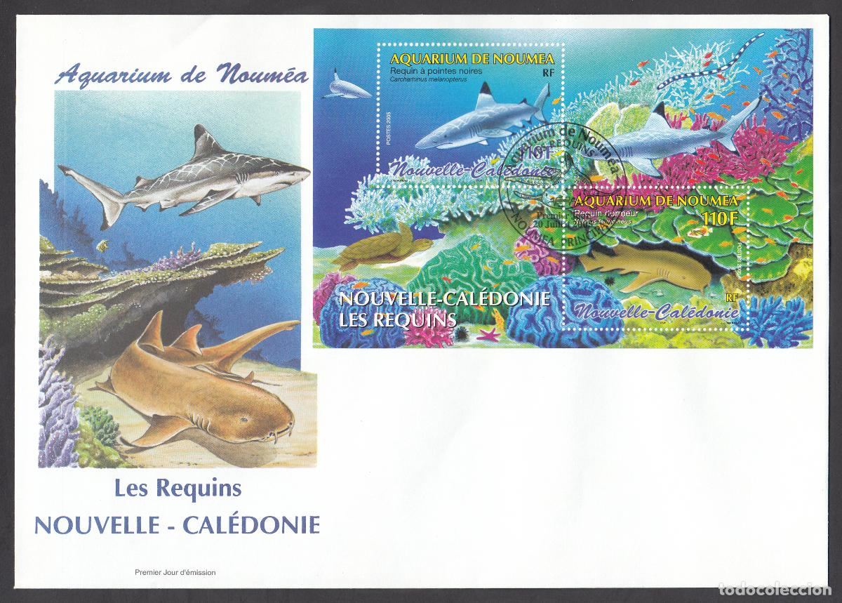 Briefmarken: Nueva Caledonia SPD FDC Yvert Hb 35 - Peces Tiburones 2005