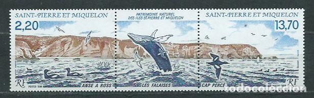 Francobolli: San Pierre y Miquelon - Correo Yvert 495A ** Mnh Fauna. Aves