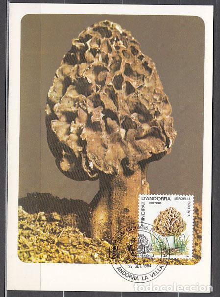 Sellos: Andorra Espa&ntilde;ola Tarjetas M&aacute;ximas 1984 Edifil 181
