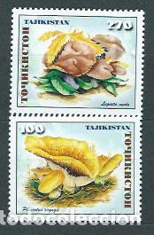 Selos: Tadjikistan - Correo Yvert 128/9 ** Mnh Setas