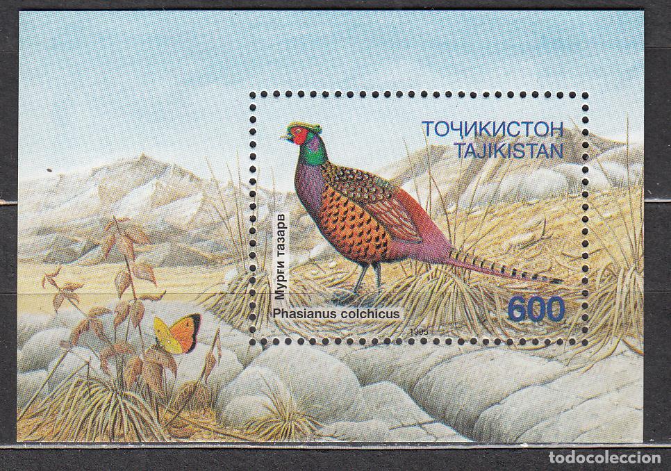 Briefmarken: Tadjikistan - Hojas Yvert 9 ** Mnh Fauna - Aves