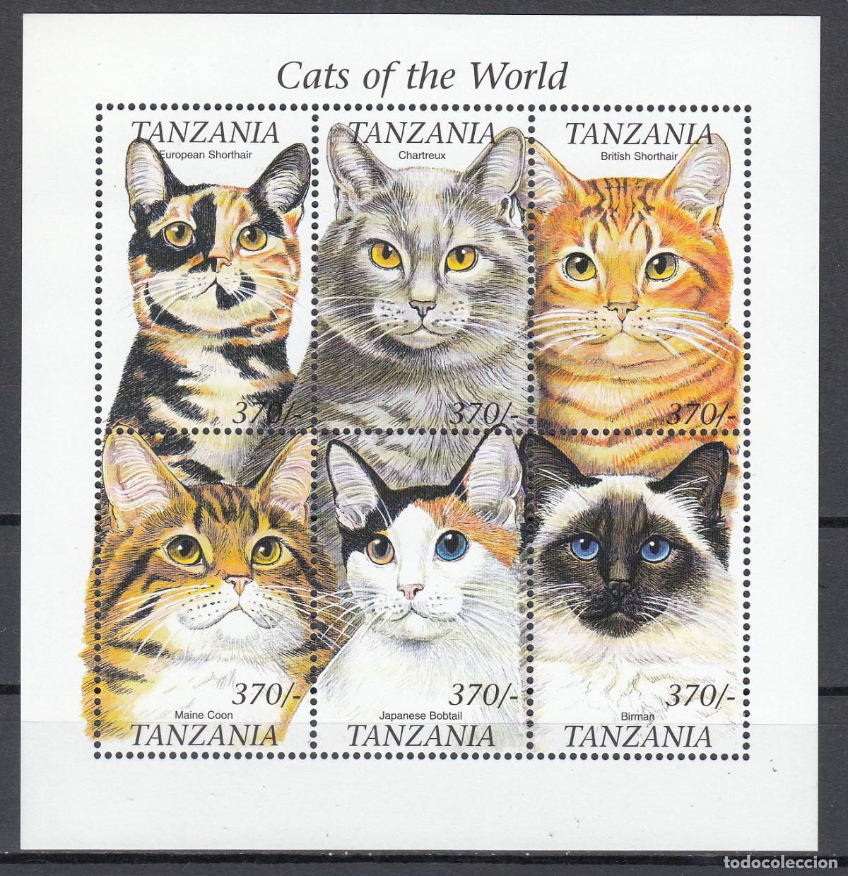 Selos: Tanzania - Correo Yvert 3101AY/BD ** Mnh Fauna gatos