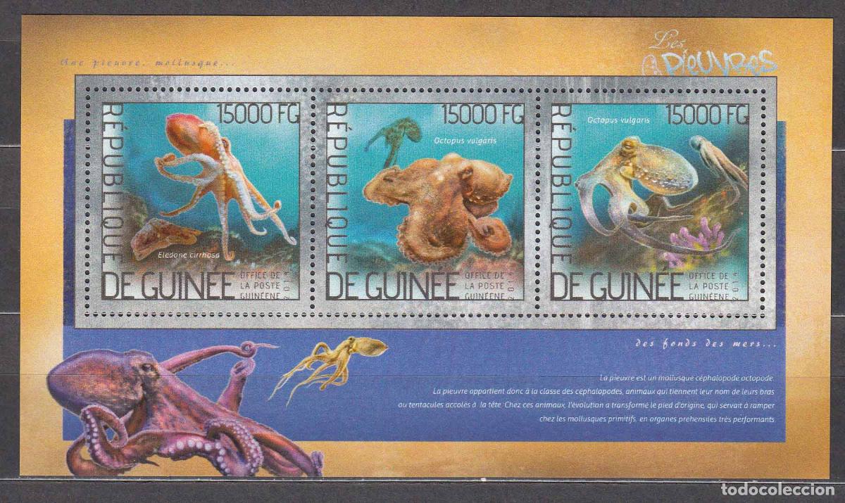 Selos: Guinea Republique - Correo Yvert 7133/35 ** Mnh Fauna Marina - Pulpos