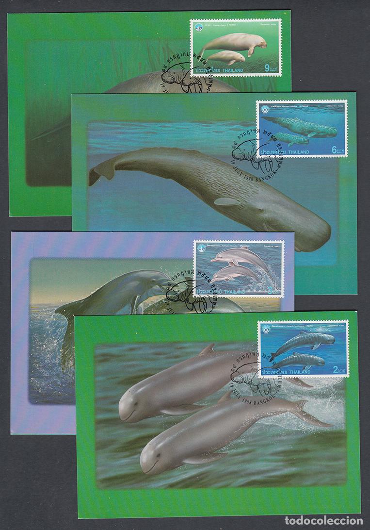 Selos: Tailandia Tarjetas M&aacute;ximas Yvert 1828A/1828C - animales marinos