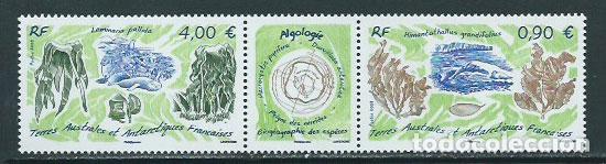 Briefmarken: Tierras Australes - Correo Yvert 528/9 ** Mnh Flora. Algas
