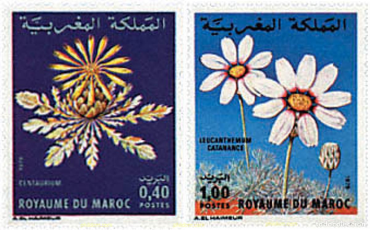 Sellos: 95475 MNH MARRUECOS 1979 FLORA MARROQUI