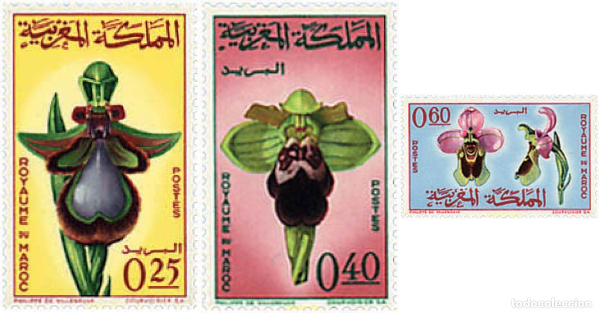 Sellos: 95469 MNH MARRUECOS 1965 FLORA MARROQUI