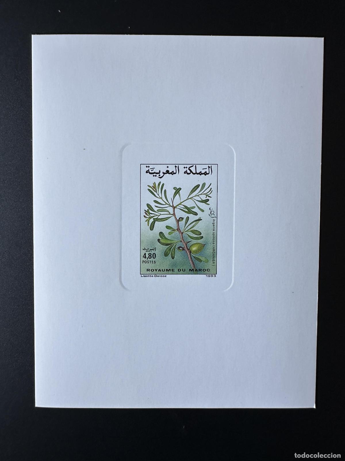Sellos: Marruecos 1993 Mi. 1233 a prueba de lujo Flore Arganier Argania spinosa Botanic