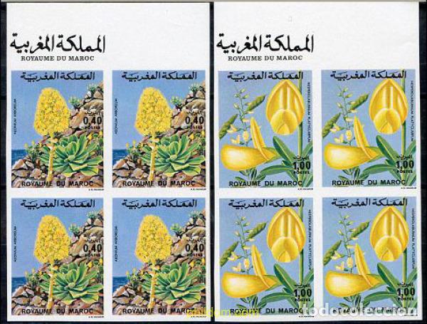 Sellos: 17307 MNH MARRUECOS 1977 FLORA MARROQUI