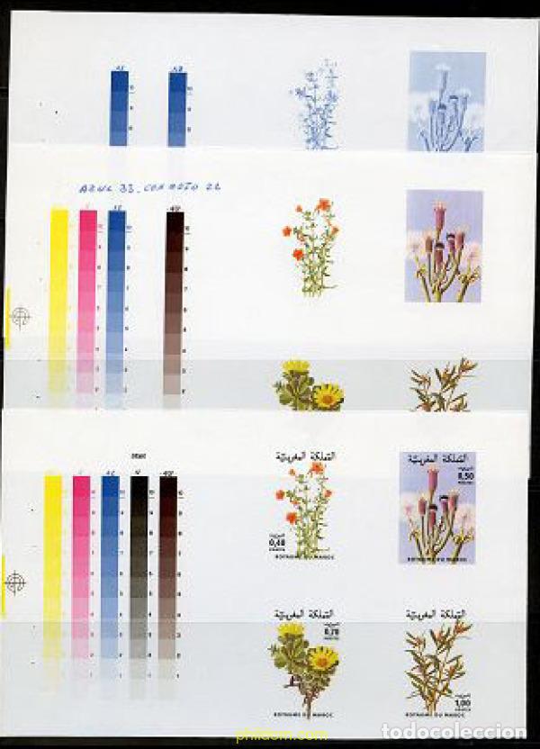 Sellos: 219327 MNH MARRUECOS 1980 FLORA MARROQUI