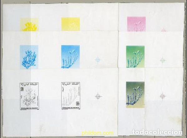 Sellos: 219520 MNH MARRUECOS 1987 FLORA MARROQUI