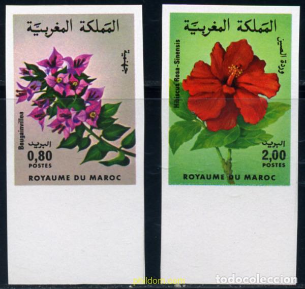 Sellos: 219575 MNH MARRUECOS 1985 FLORA MARROQUI
