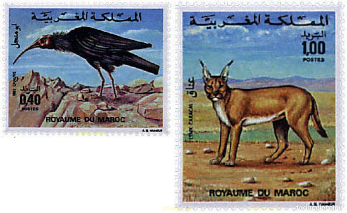 Sellos: 53308 MNH MARRUECOS 1975 FAUNA