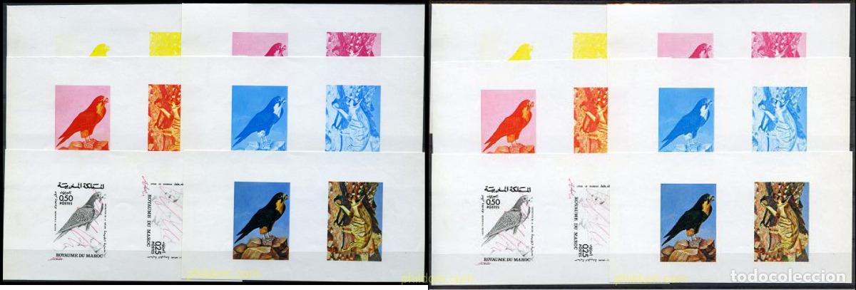 Sellos: 218810 MNH MARRUECOS 1973 PROTECCION DE LA NATURALEZA