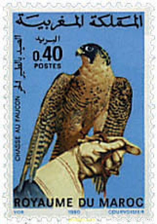 Sellos: 36775 MNH MARRUECOS 1980 CAZA CON HALCON