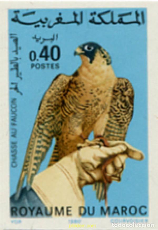 Sellos: 565565 MNH MARRUECOS 1980 CAZA CON HALCON
