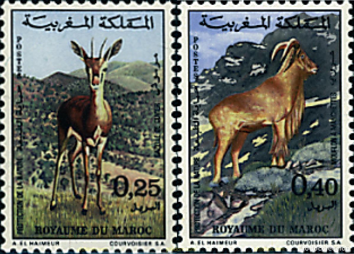 Sellos: 28669 MNH MARRUECOS 1972 MAMIFEROS