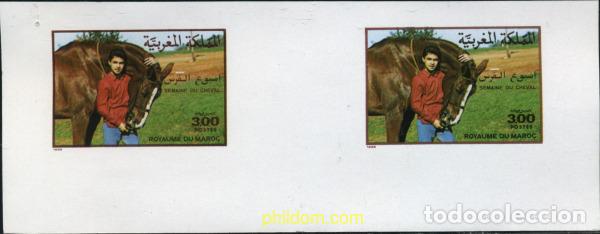 Sellos: 219433 MNH MARRUECOS 1988 SEMANA DEL CABALLO