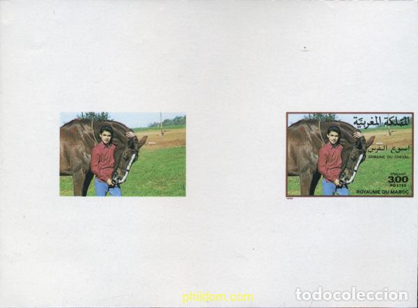 Sellos: 219438 MNH MARRUECOS 1988 SEMANA DEL CABALLO