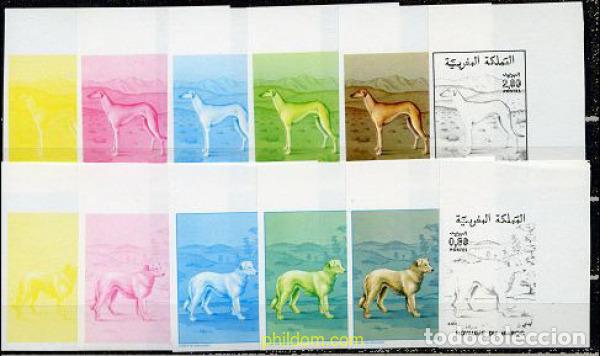 Sellos: 219610 MNH MARRUECOS 1984 PERROS DE RAZA