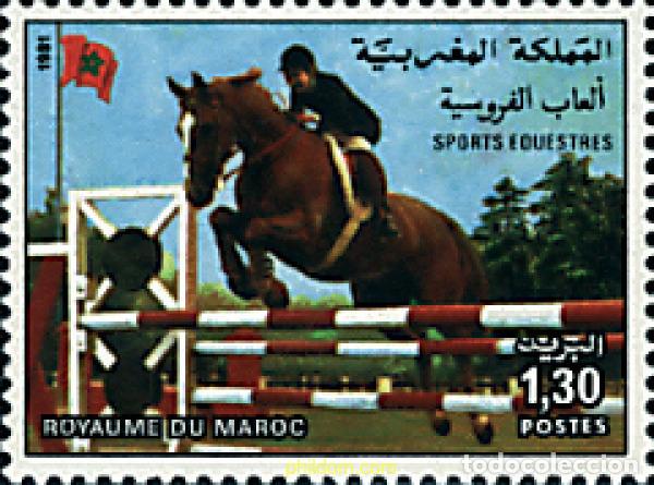 Sellos: 53487 MNH MARRUECOS 1981 HIPICA