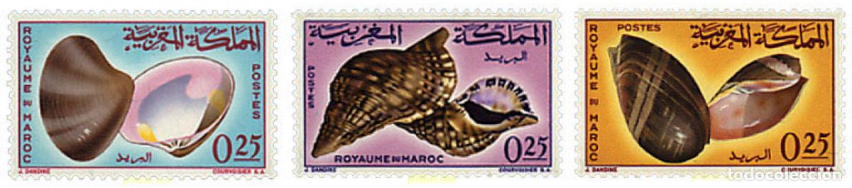Sellos: 38757 MNH MARRUECOS 1965 CONCHAS
