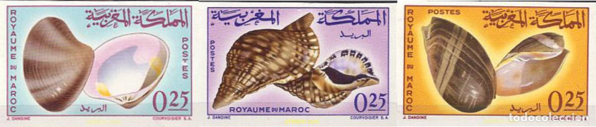 Sellos: 195819 MNH MARRUECOS 1965 CONCHAS