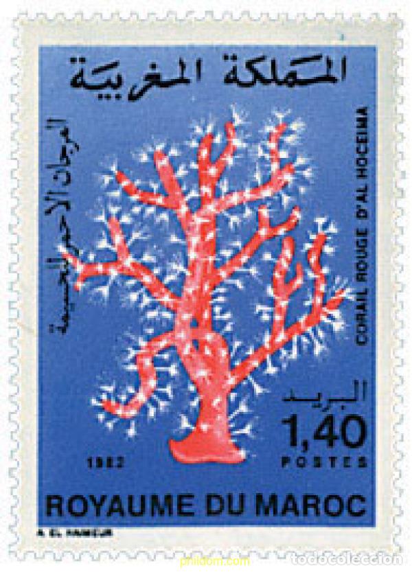 Sellos: 53513 MNH MARRUECOS 1982 CORALES