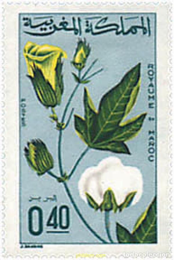 Sellos: 95470 MNH MARRUECOS 1967 PRODUCTOS AGRICOLAS
