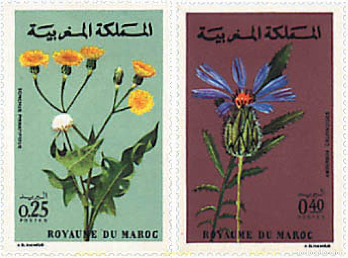 Sellos: 95471 MNH MARRUECOS 1972 FLORA MARROQUI