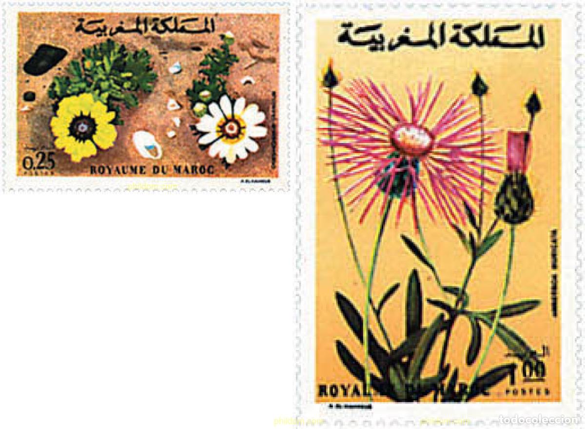 Sellos: 100214 MNH MARRUECOS 1973 FLORA MARROQUI