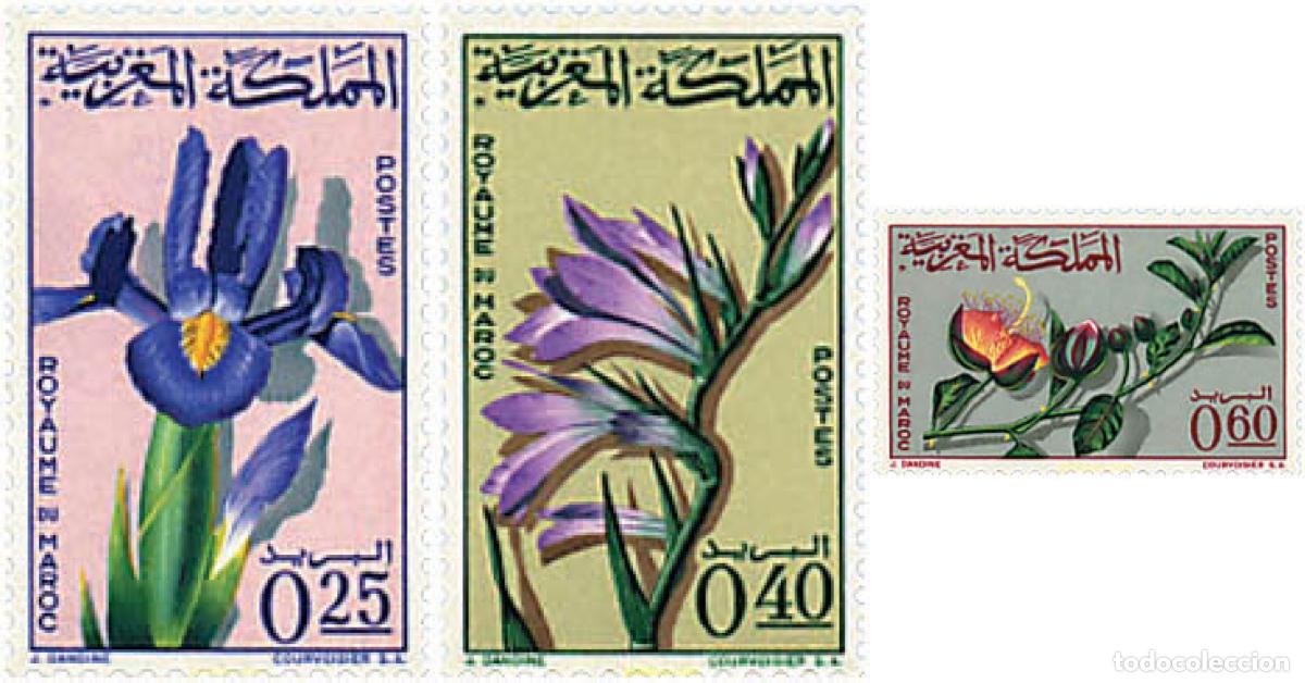 Sellos: 95483 MNH MARRUECOS 1965 FLORA MARROQUI