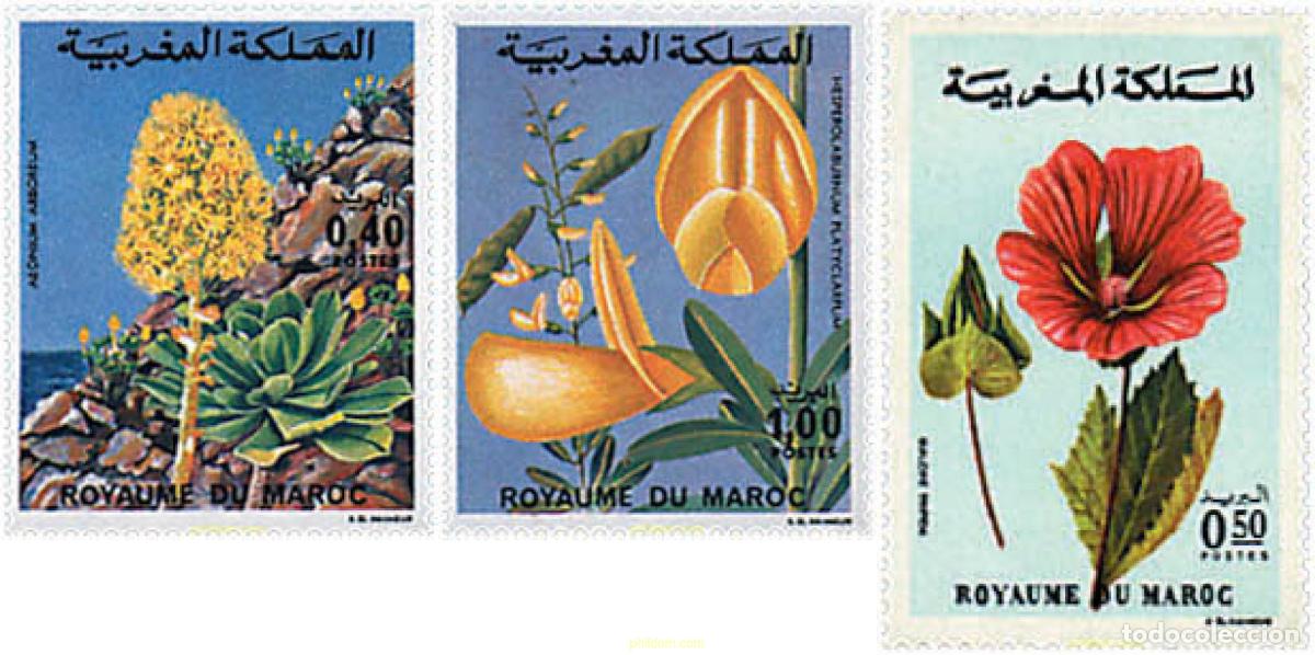 Sellos: 95897 MNH MARRUECOS 1977 FLORA MARROQUI