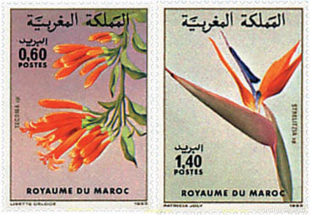 Sellos: 95477 MNH MARRUECOS 1983 FLORA MARROQUI