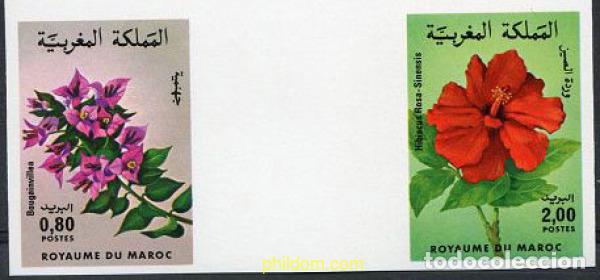 Sellos: 219576 MNH MARRUECOS 1985 FLORA MARROQUI