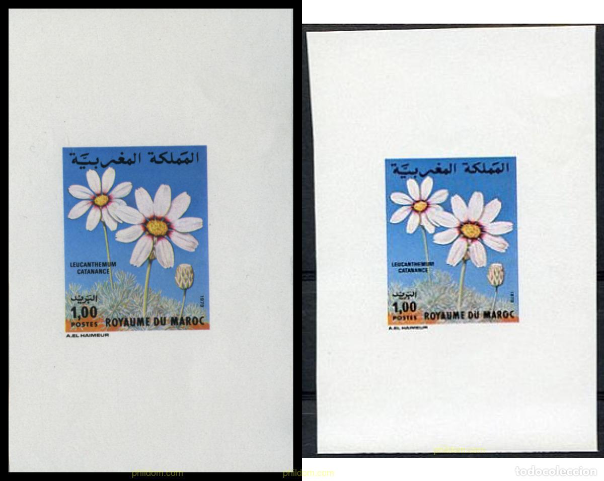 Sellos: 219260 MNH MARRUECOS 1979 FLORA MARROQUI