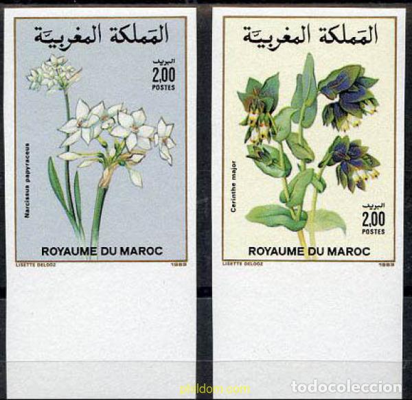 Sellos: 13078 MNH MARRUECOS 1989 FLORA MARROQUI