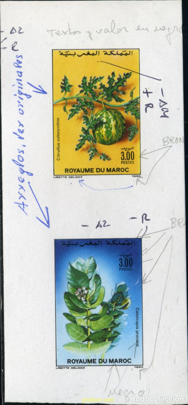 Sellos: 219443 MNH MARRUECOS 1988 FLORES