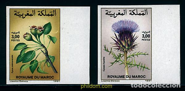 Sellos: 13088 MNH MARRUECOS 1991 FLORA MARROQUI