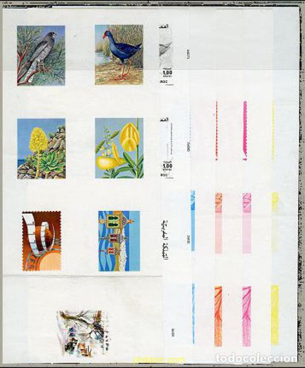 Sellos: 218965 MNH MARRUECOS 1976 AVES