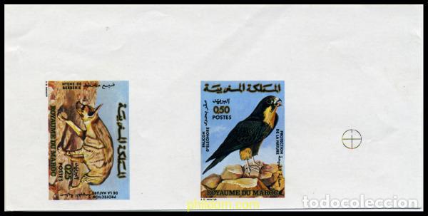 Sellos: 218813 MNH MARRUECOS 1973 PROTECCION DE LA NATURALEZA