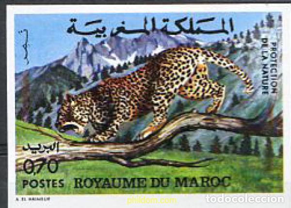Sellos: 218886 MNH MARRUECOS 1974 PROTECCION DE LA NATURALEZA