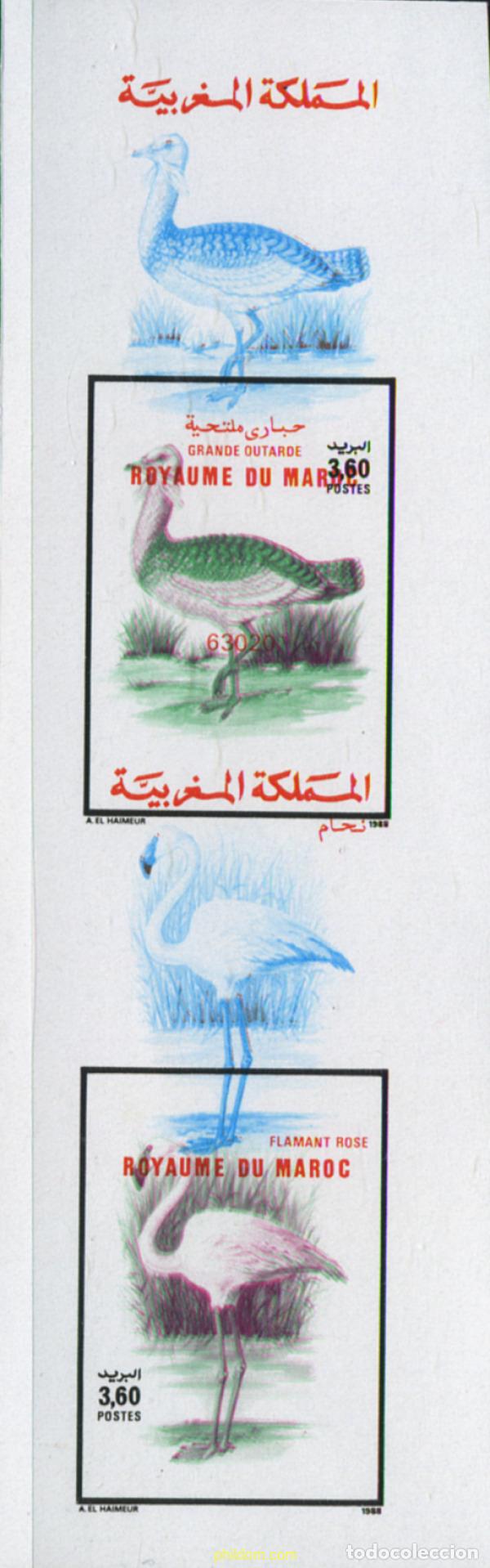 Sellos: 219572 MNH MARRUECOS 1988 AVES