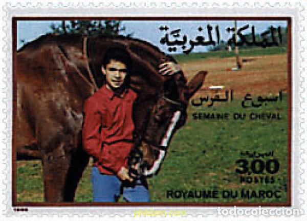 Sellos: 219432 MNH MARRUECOS 1988 SEMANA DEL CABALLO